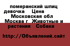 померанский шпиц девочка  › Цена ­ 18 000 - Московская обл., Москва г. Животные и растения » Собаки   